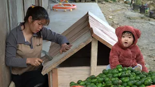 Harvest lemons and sell them at the market. Build a house for dogs to stay out of the cold