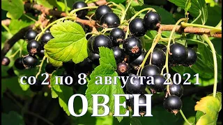 ОВЕН Со 2 ПО 8 АВГУСТА 2021. ТАРО ПРОГНОЗ.  РАБОТА ДЕНЬГИ ЛЮБОВЬ ЗДОРОВЬЕ. РАСКЛАД НА НЕДЕЛЮ.