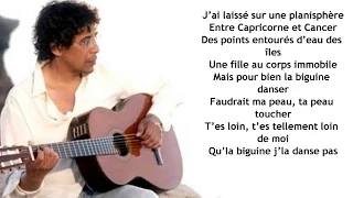 Laurent Voulzy:  J'ai le coeur grenadine  + Paroles Lyrics
