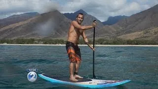 Tiger shark approaches Maui paddleboarder