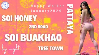Is there a party every day in Pattaya? Thursday. Thailand January 2024 #soibuakhao #treetown #thai