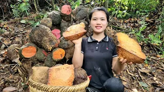 Harvesting Preliminarily processed & Preserved Brown tubers for food | Trieu Thi Thuy