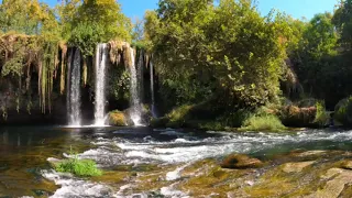 КРАСИВАЯ ЧЕЧЕНСКАЯ ПЕСНЯ 💖 АС СА ГАТТА ДО ХЬУНА К1ОРНИ.