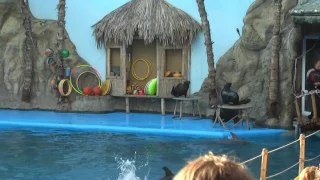 Одеський дельфінарій "Nemo" (літо 2008)