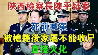 陝西檢察長陳平疑案：死前喊冤，被槍斃後家屬不能收屍，直接火化 #大案紀實 #刑事案件 #案件解說