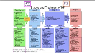 2017: A Case-Based Update on Heart Failure: Focus on the 2017 Guidelines