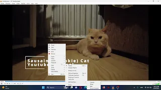 VLC Player Lagging & Stuttering when playing 4k/1080p | VLC Player Without  Skipping