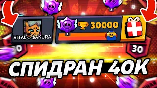 АПНУЛ 30000 БЕЗ ДОНАТА! СПИДРАН 40К/60К