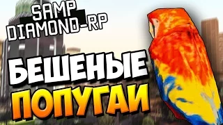 Бешеные ПОПУГАИ! - SAMP (DIAMOND-RP) #3