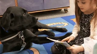 Inside California Education: Service Dog in the Classroom