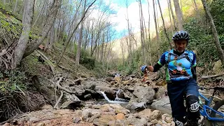 Farlow Gap Mountain Biking