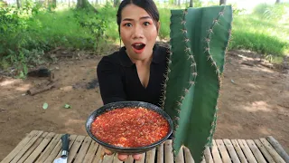 Eating Pedro cactus tree with chili salt delicious - Eating show