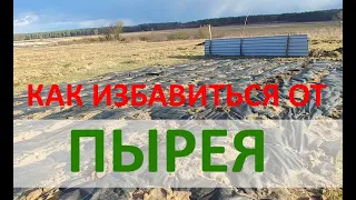 КАК ИЗБАВИТЬСЯ ОТ ПЫРЕЯ. 100% СПОСОБ