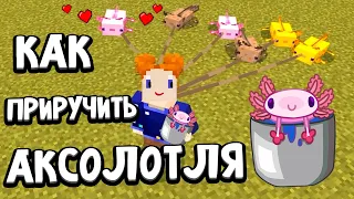 РЕСТОРАН ДЛЯ АКСОЛОТЛЕЙ 😂 ЗАЧЕМ Я ЕГО ПОСТРОИЛА 🙆 🤣 майнкрафт выживание