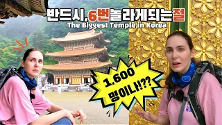 A Polish woman who visit the biggest temple in Korea is astonished 6 times at the temple