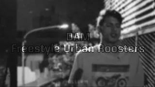 DAM - Freestyle Urban Roosters // Millerm Remix