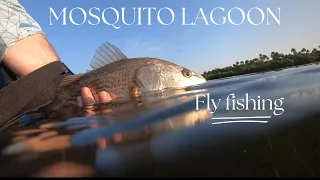 Fly fishing the world famous mosquito lagoon