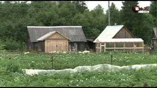 Дешевые дома в Новгородской области: Батецкий район