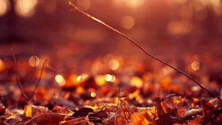 Андрей Губин – Осень Пришла