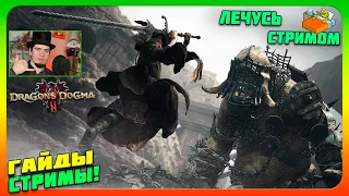 Обмен ПЕШЕК в ДС! Сегодня я Воин Dragon's Dogma 2 Прохождение 10 обзор🔔 Драконы и изучение Батталь