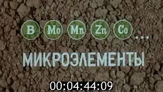 Мікроелементи та симптоми недоліків у рослин