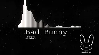 Bad Bunny - SEDA