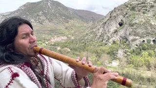 Ayaruna-quenacho in the mountains