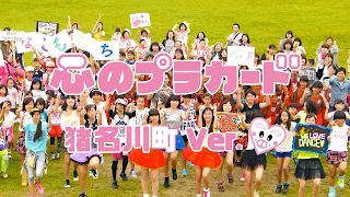 心のプラカード猪名川町 Ver. / AKB48[公式]
