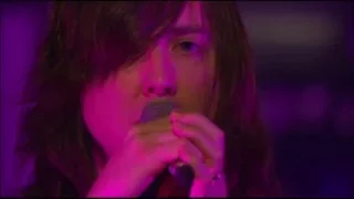 Archive - Stick Me in My Heart  - Live in Lyon
