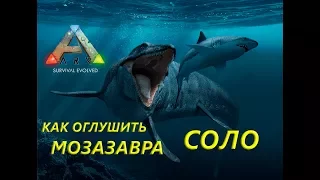 Как в ARK оглушить мозазавра в соло