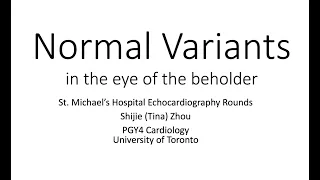 Echocardiography normal variants in the eyes of the beholder