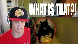 HALLOWEEN SPECIAL: 5 Mysterious Creatures Caught On Camera & Spotted In Real Life! #2