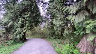 Раняя весна в Канаде. Говорилка. Елена и Николай 🌹