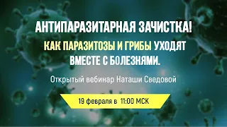 Антипаразитарная зачистка