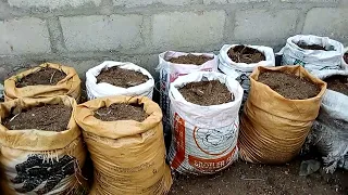 How to Plant Yam in Bags; The best way to manage your backyard space for planting