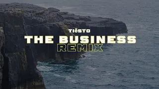 Tiësto - The Business (Jimmy Demis Remix)