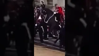 King’s horse SMASHES into public! 😱 ￼