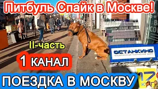 ПОЕЗДКА В МОСКВУ НА 1 КАНАЛ. 2 ЧАСТЬ !!! ПЕРЕДАЧА ВИДЕЛИ ВИДЕО.