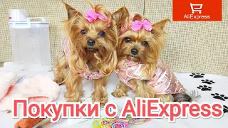 Покупки с AliExpress для собак