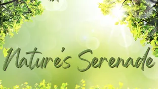 🌿Nature's Serenade 🌿 Dreamy Melodic Ambient Music Journey