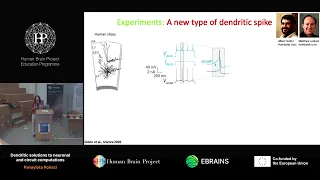 Panayiota Poirazi - Dendritic solutions to neuronal and circuit computations