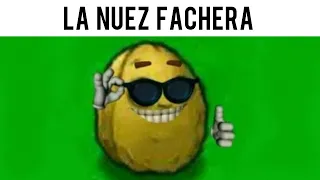 MEMES RANDOM XD DE PVZ #2