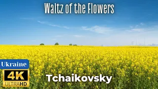 4K Ukraine Scenic Nature Video - Tchaikovsky - Waltz of the Flowers