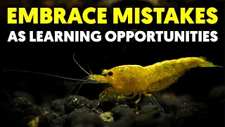 Avoid These 6 Common Shrimp Keeping Mistakes!