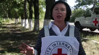 Красный крест укрепляет школу в Степном