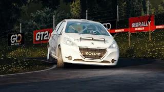 SimRally Rally Iniciación TC4 El Hórreo Ourense / Peugeot 208 R2 cup / AssettoCorsa / ProtosimRacing