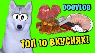 ТОП 10 ВКУСНЯШЕК ДЛЯ СОБАК! ТАЙНАЯ ЖИЗНЬ ДОМАШНИХ ЖИВОТНЫХ 2