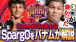 【解説】SUMMIT5で間違いなく主人公だった"Sparg0"の上手ポイントをプロトバナムが徹底解説！【スマブラSP】