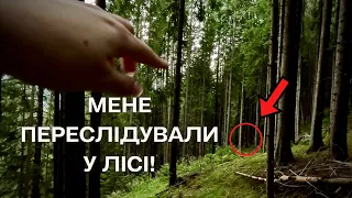 Знову ЕКСТРЕМАЛЬНИЙ ЗБІР😱 Перевіряю НОВЕ ГРИБНЕ МІСЦЕ на БІЛІ ГРИБИ🧐 ЛИСИЧКИ🙃 Збираю Гриби #69