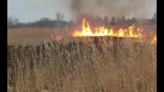 Чергові палії залишаються безкарними!